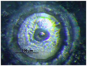 Polymerized 4-Fold Coordinated Carbonate Melts in the Deep Mantle